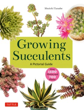 Book Cover for Growing succulents :