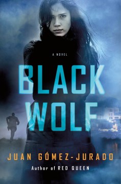 Book Cover for Black wolf