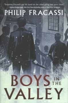 Book Cover for Boys in the valley
