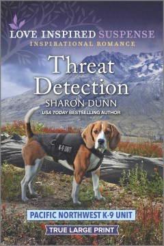 Book Cover for Threat detection