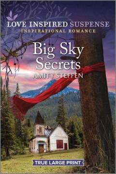 Book Cover for Big sky secrets