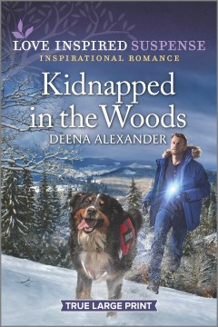 Book Cover for Kidnapped in the woods
