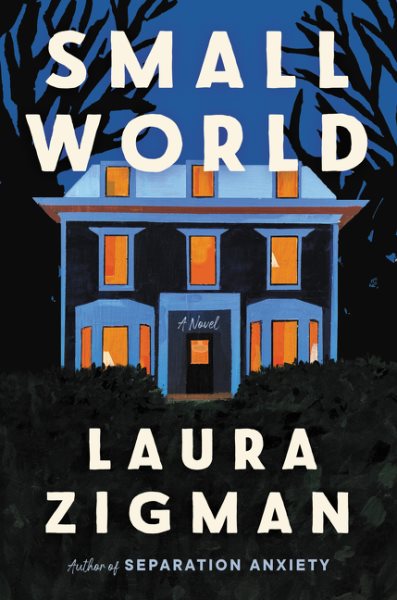 Small world : a novel / Laura Zigman.