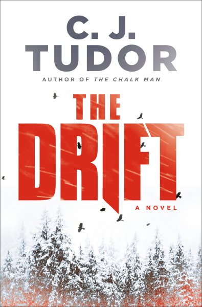 The drift : a novel / C. J. Tudor.