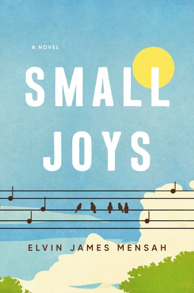Small joys : a novel / Elvin James Mensah.