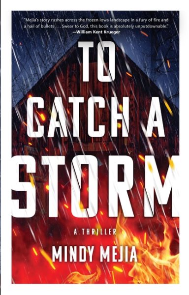 To catch a storm : a novel / Mindy Mejia.