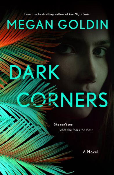 Dark corners / Megan Goldin.