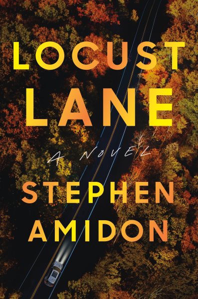 Locust Lane / Stephen Amidon.