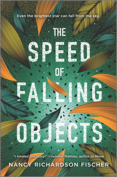 The speed of falling objects / Nancy Richardson Fischer.