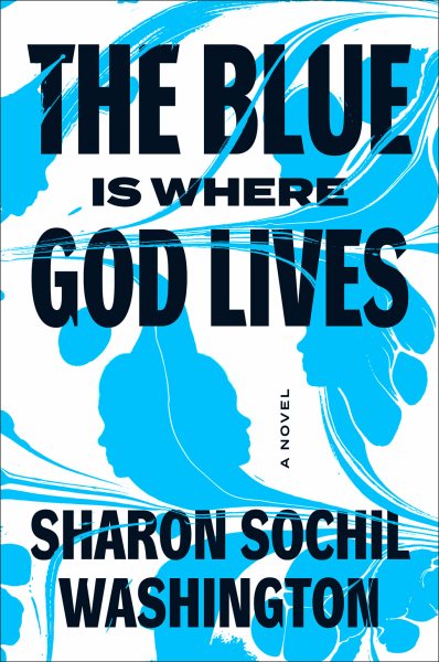 The blue is where God lives : a novel / Sharon Sochil Washington, PhD.
