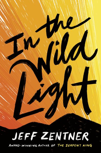 In the wild light / Jeff Zentner
