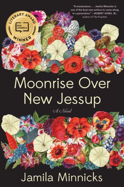 Moonrise over New Jessup : a novel / by Jamila Minnicks.
