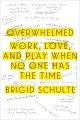 Overwhelmed by Brigid Schulte