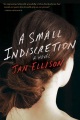 A Small Indiscretion by Jon Ellison