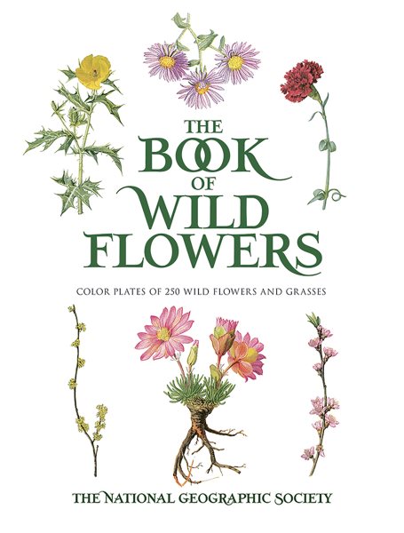 The Book of Wild Flowers【金石堂、博客來熱銷】