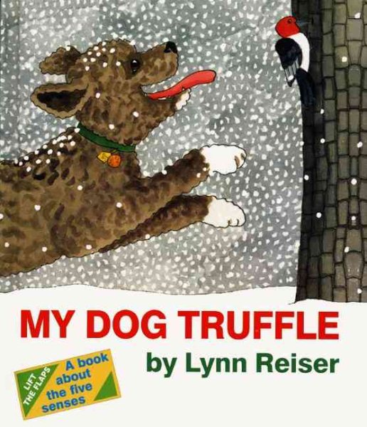 My Dog Truffle: Book about the Five Senses