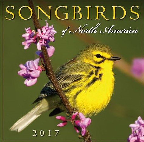 Songbirds of North America 2017 Calendar
