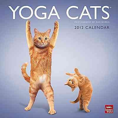 Yoga Cats 2012 Calendar