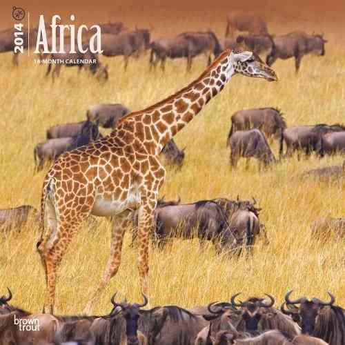 Africa 2014 Calendar