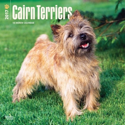 Cairn Terriers 2017 Calendar(Wall)
