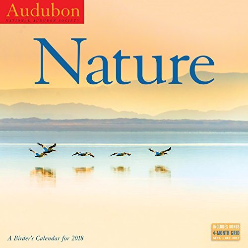 Audubon Nature(Wall)