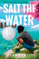 Salt the Water, book cover
