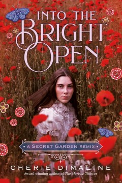 Into the Bright Open: A Secret Garden Remix, book cover