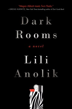 Dark Rooms - Lili Anolik