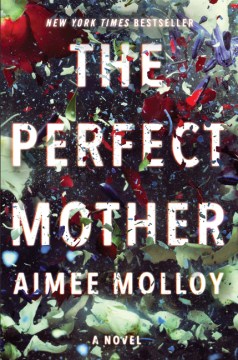 Perfect Mother - Aimee Molloy