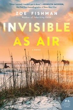 Invisible as Air - Zoe Fishman