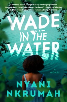 Wade in the Water - Nyan Nkrumah