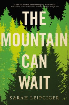 The Mountain Can Wait - Sarah Leipciger