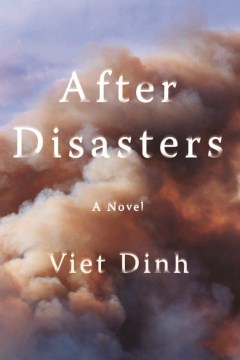After Disasters - Viet Dinh