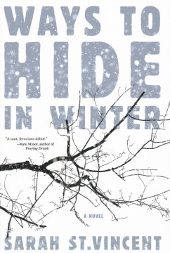 Ways to Hide in Winter - Sarah St. Vincent