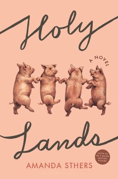Holy Lands - Amanda Sthers
