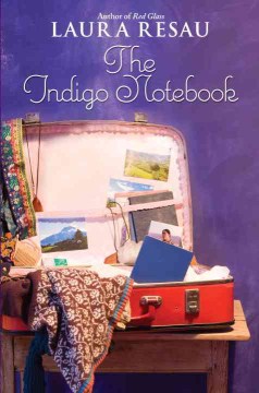 Bookjacket for  Indigo Notebook