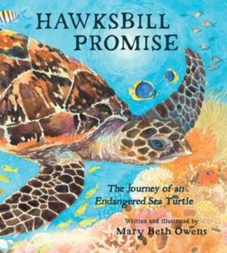 Bookjacket for  Hawksbill Promise