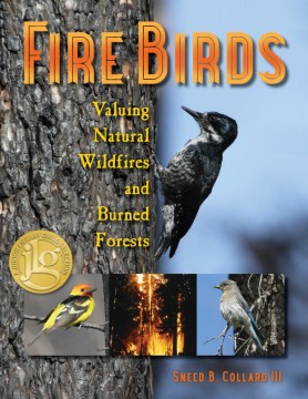 Bookjacket for  Fire birds