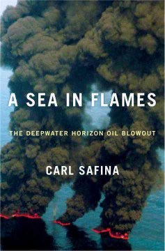 Book Jacket for A Sea in Flames The Deepwater Horizon Oil Blowout style=