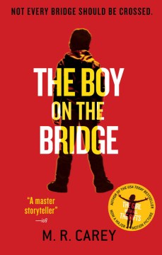 Bookjacket for The Boy on the Bridge
