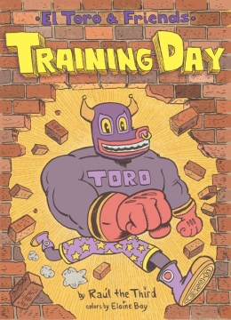 Bookjacket for  Training day