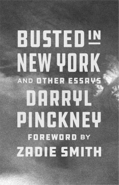 Book Jacket for Busted in New York and Other Essays style=