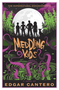 Book Jacket for Meddling Kids style=