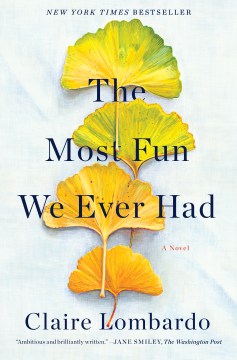 Book Jacket for The Most Fun We Ever Had A Novel