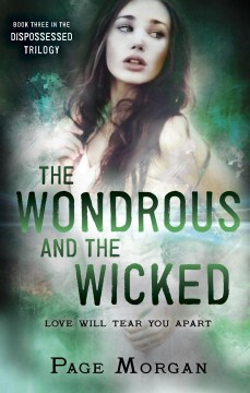 Bookjacket for The Wondrous and the Wicked