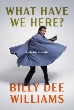Bookjacket for  What Have We Here