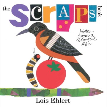Bookjacket for The scraps book