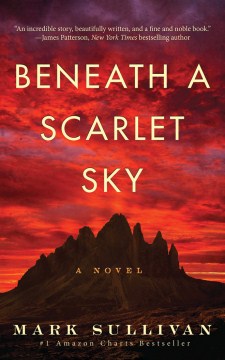 Book Jacket for Beneath a Scarlet Sky style=