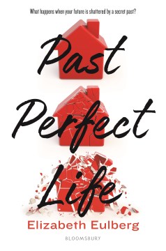 Bookjacket for  Past Perfect Life