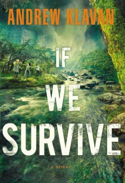 Bookjacket for  If we survive